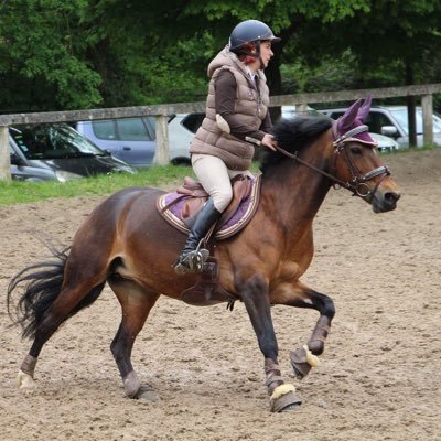 Twitter officiel de Design Unique À cheval, graphiste spécialisée dans le milieu équestre. #identitevisuelle #graphisme #cheval #design