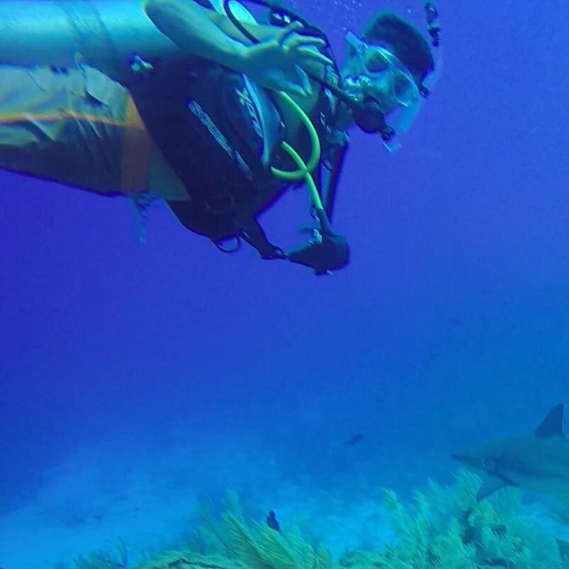 keepclmcarryong's profile picture. 