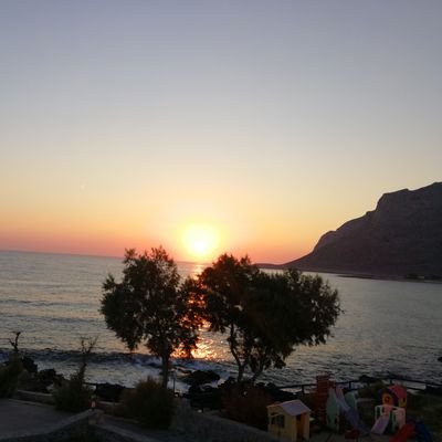 LBombassei's profile picture. 