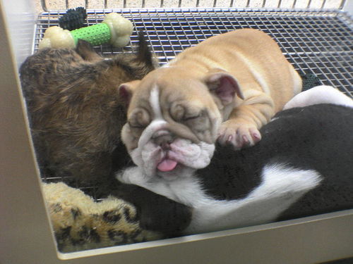 caracasmc's profile picture. 