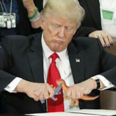 Original_Edders's profile picture. If you support Trump, I don't blame you.  To me, you're a victim of his lies, or perhaps your own stupidity.  Regardless, one should never blame the victim.
