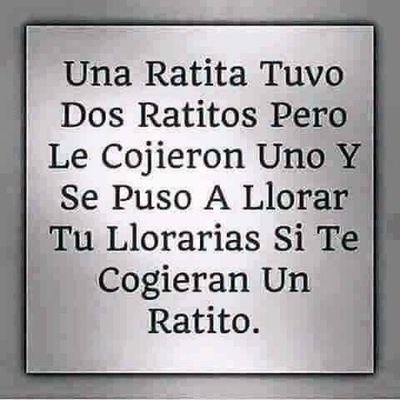 91159506's profile picture. 