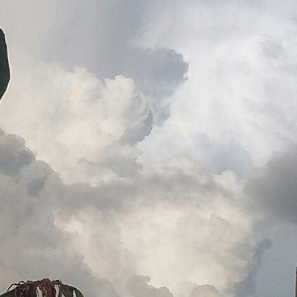 tomcm123's profile picture. Siguiendo la temporada de huracanes 2017. No soy meteorologo, solo me gusta seguir las tormentas.