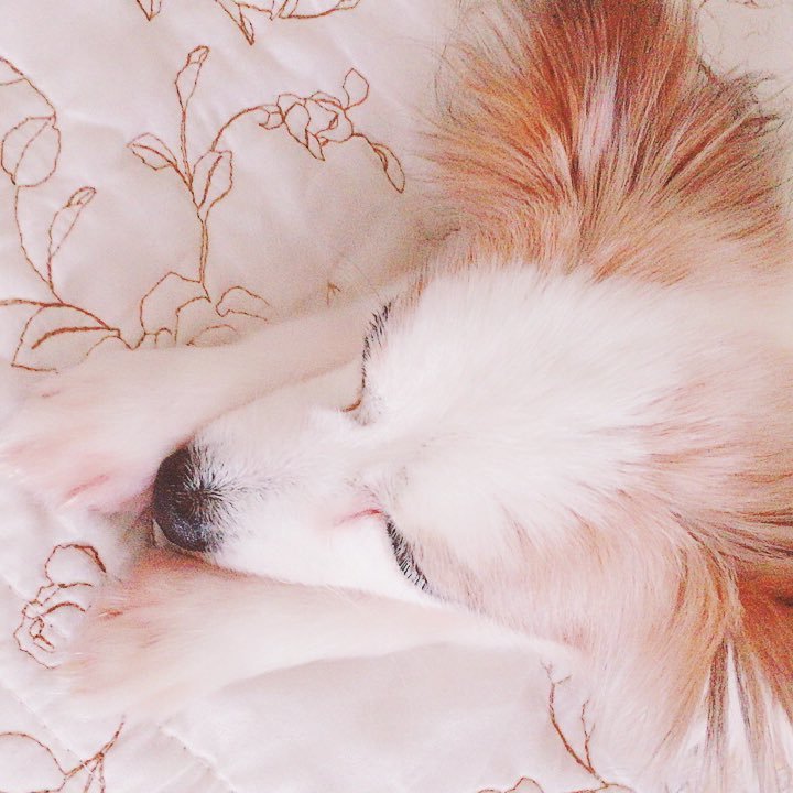 tomokazu0811_'s profile picture. 2017年5月~休学。