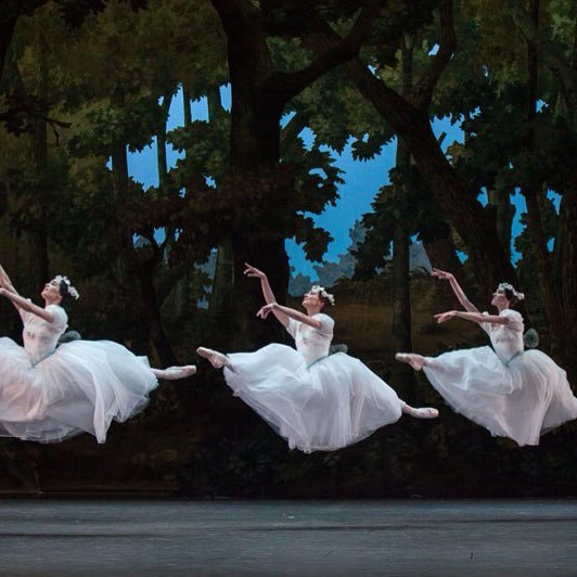 Autour de la danse et du Ballet de l'Opéra de Paris en particulier.