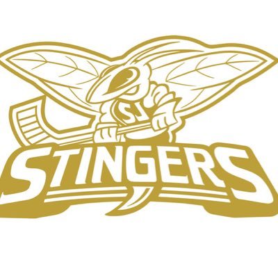 Stingershockey's profile picture. Supplemental hockey program giving players of all levels a chance to play/develop in the off season!