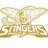 Stingershockey's profile image