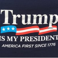 MT GIRL 4 TRUMP🇺🇸❤️⚓️MAGA🇺🇸(@sharont6116) 's Twitter Profileg