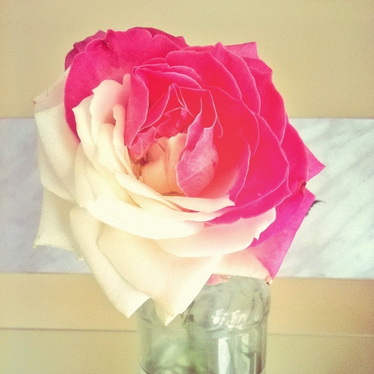 RafailaRose's profile picture. JakBie
JulieAdik
Positivity and Love prevails. ❤