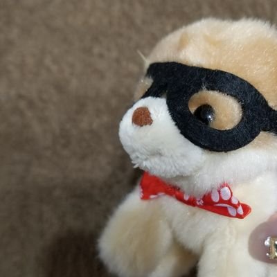 funi_1264's profile picture. 5人が大好き
成人腐,あらゆる沼にハマる 
wj,yj本誌
rtは備忘録 ほぼ動かない
dnkb/右🦁