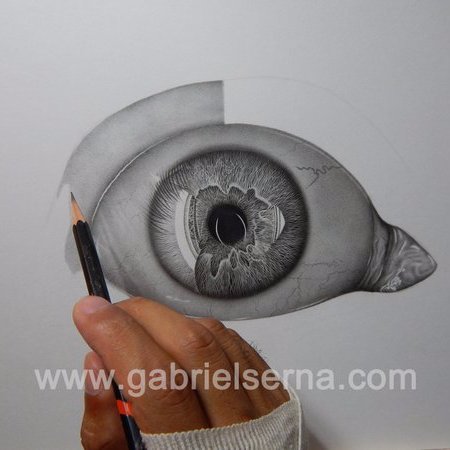 Talleres dibujo y pintura impartidos por @GabrielSernaArt  #PuertoVallarta #Arte #Dibujos