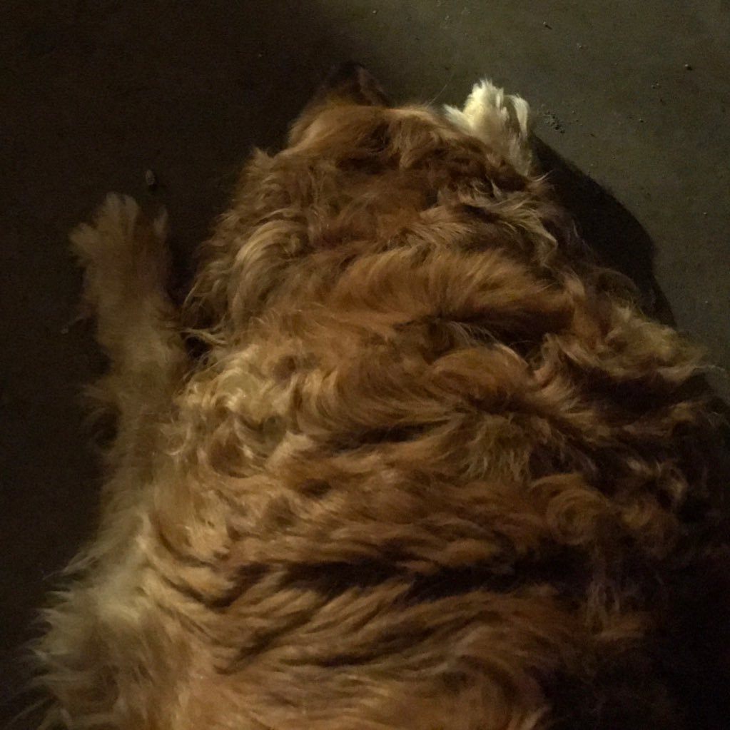 jtregear's profile picture. “I think everybody over 65 walks around with 100 pounds of cement on their shoulders, a bag of loss.”