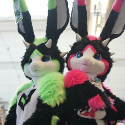 Twin dragunnies :) happy and hoppy we're almost everywhere as well :) thanks everyone for following our antics :) Banner by @SignpostDragon