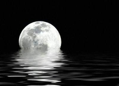 m0r7d's profile picture. طيبتي دمرتني😯😯💔💔