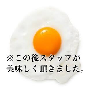 半熟玉子のめだまやき。Twitterは吐き出し場所。基本病みツイしかしませぬ。