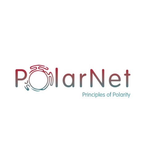 PolarNet