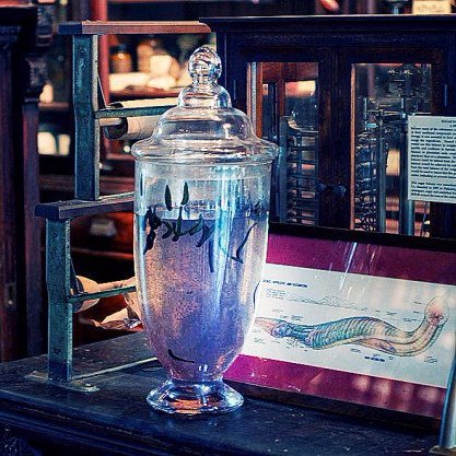 GirudoMir's profile picture. Наша компания предлагает высококачественную медицинскую пиявку с бесплатной доставкой по Москве, экспресс доставкой по России и самым низким ценам(от 35 руб).