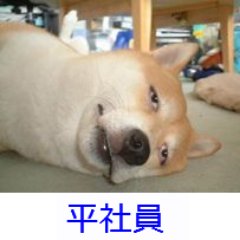 ビットコ平社員。つぶやきのリンクからフリービットコインをゲットして平社員を昇進させよう! ビットコインの価格上昇はまだ続く・・・
