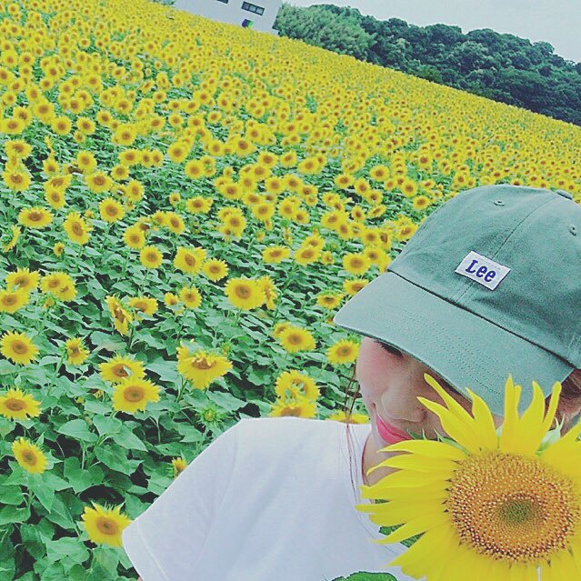 しっぴ Shippy24 Twitter しっぴ Shippy24 Twitter