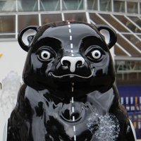 Ed the X-ray Bear (@edthexraybear) 's Twitter Profile