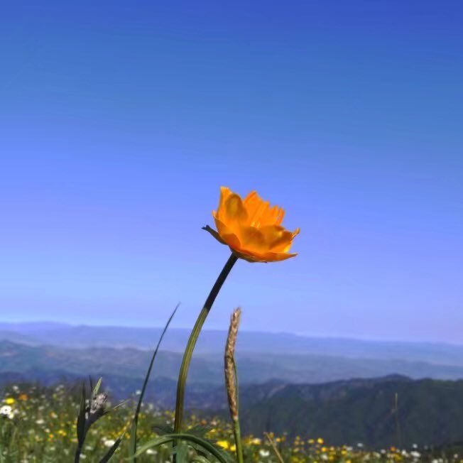 jackiewangpek's profile picture. son/husband/dad, it's pride of two daugters！