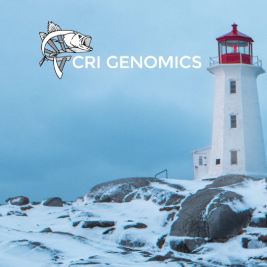 The CRI Genomics adopts genomics techniques to address questions in conservation, fisheries management, evolution and ecology for more stable aquaculture.