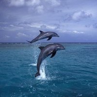 Christelle L (@christelle049) 's Twitter Profile Photo