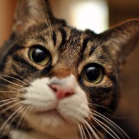 amigo1218 𝕏甲甲甲… (@amigo1218) 's Twitter Profile Photo amigo1218 𝕏甲甲甲… (@amigo1218) 's Twitter Profile Photo