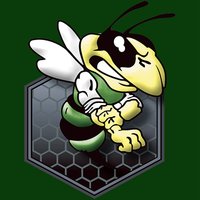 Wellsboro Hornets (@wellsborohornet) 's Twitter Profile