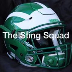 @TheStingSquad