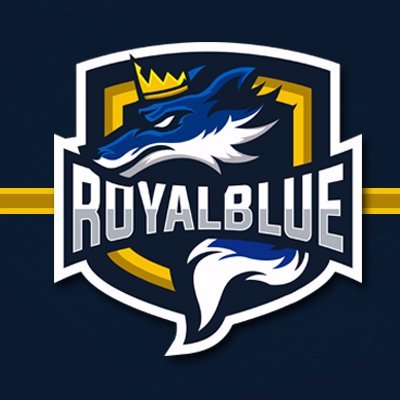 NodeX_RoyalBlue's profile picture. 