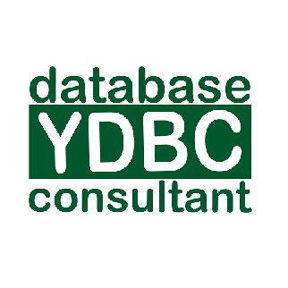 YDBConsultant's profile picture. YDBC is a custom business solution and consulting service firm with experience using Prophet 21 and leveraging the features of your ERP system.