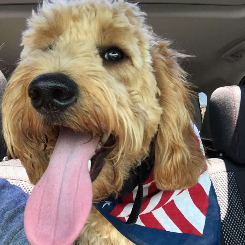 Lyndsay_Morton's profile picture. *Family *Friends *Laughter *Country Music  *Huskers *Hockey *bonfires *boats *lake life *wine *Busch light *traveling *netflix