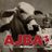 AJBADirectors's profile image