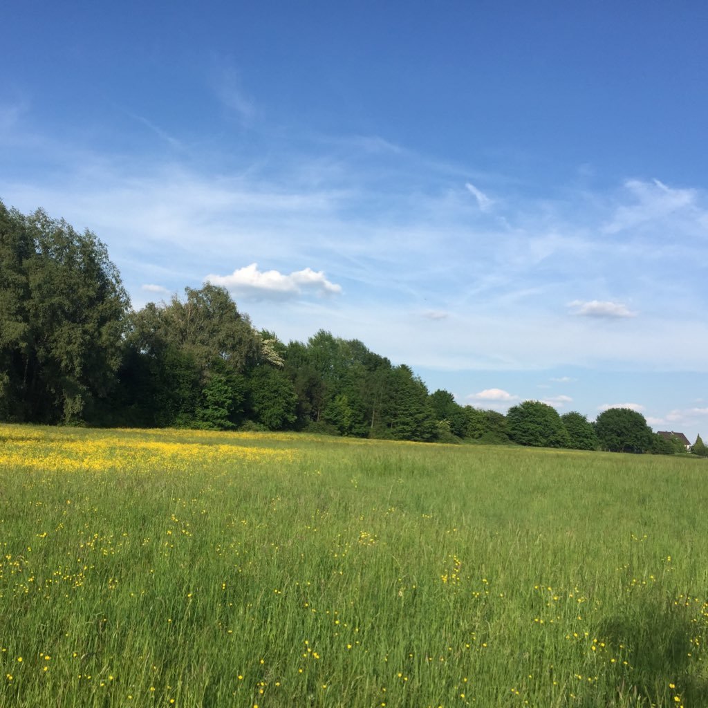 Unsere Initiative möchte das ausgewiesene Landschaftschutzgebiet/Biotop der Wiese Katterbach schützen und die Umwandlung in ein Wohngebiet verhindern.