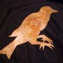 Paula Beal - @coppergal - Twitter