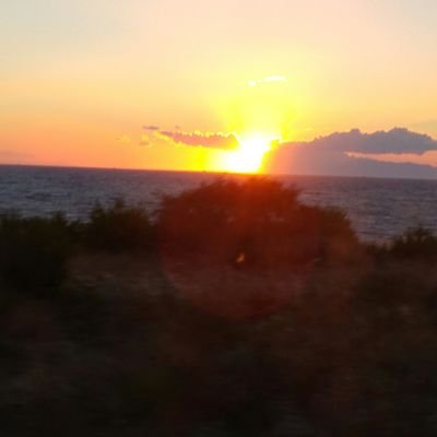 Haluk67389269's profile picture. 