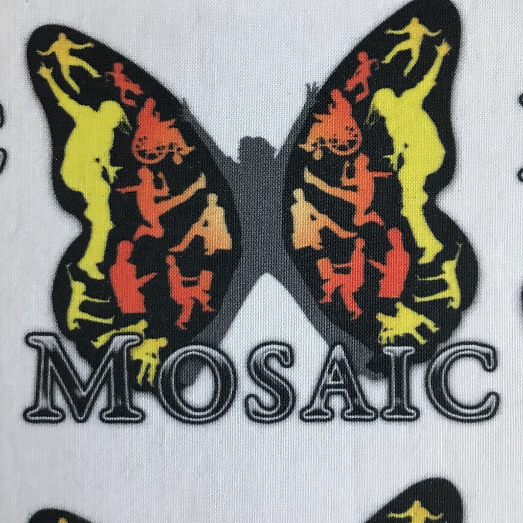 MOSAIC is Humble ISD's transition program.