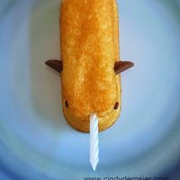 LittleNarwhal (@little_narwhal9) 's Twitter Profile