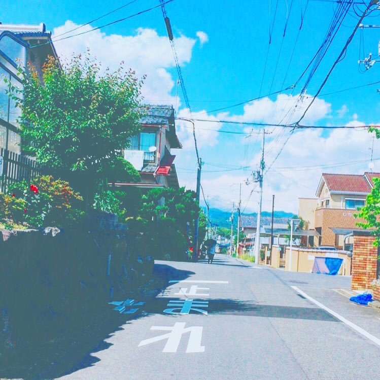 ntksomnbk3002's profile picture. のーんびり思ったことを、、、💭 *雑食系女子*