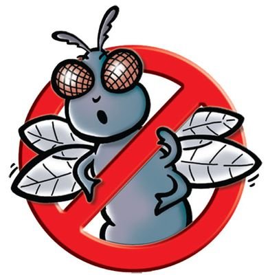 noflieszone's profile picture. Changing the world one lost soul at a time. The empowerment of women and the education of men
ig:NoFliesZone