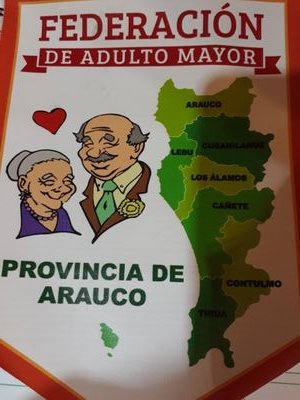 Somos la federacion provincial de Adulto mayor de la Provincia de Arauco