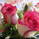 قطر الندى (@00005878) Twitter