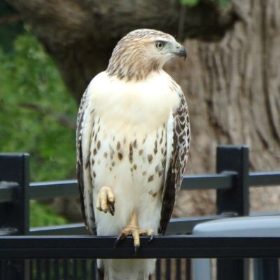 Zhaojincheng2's profile picture. 