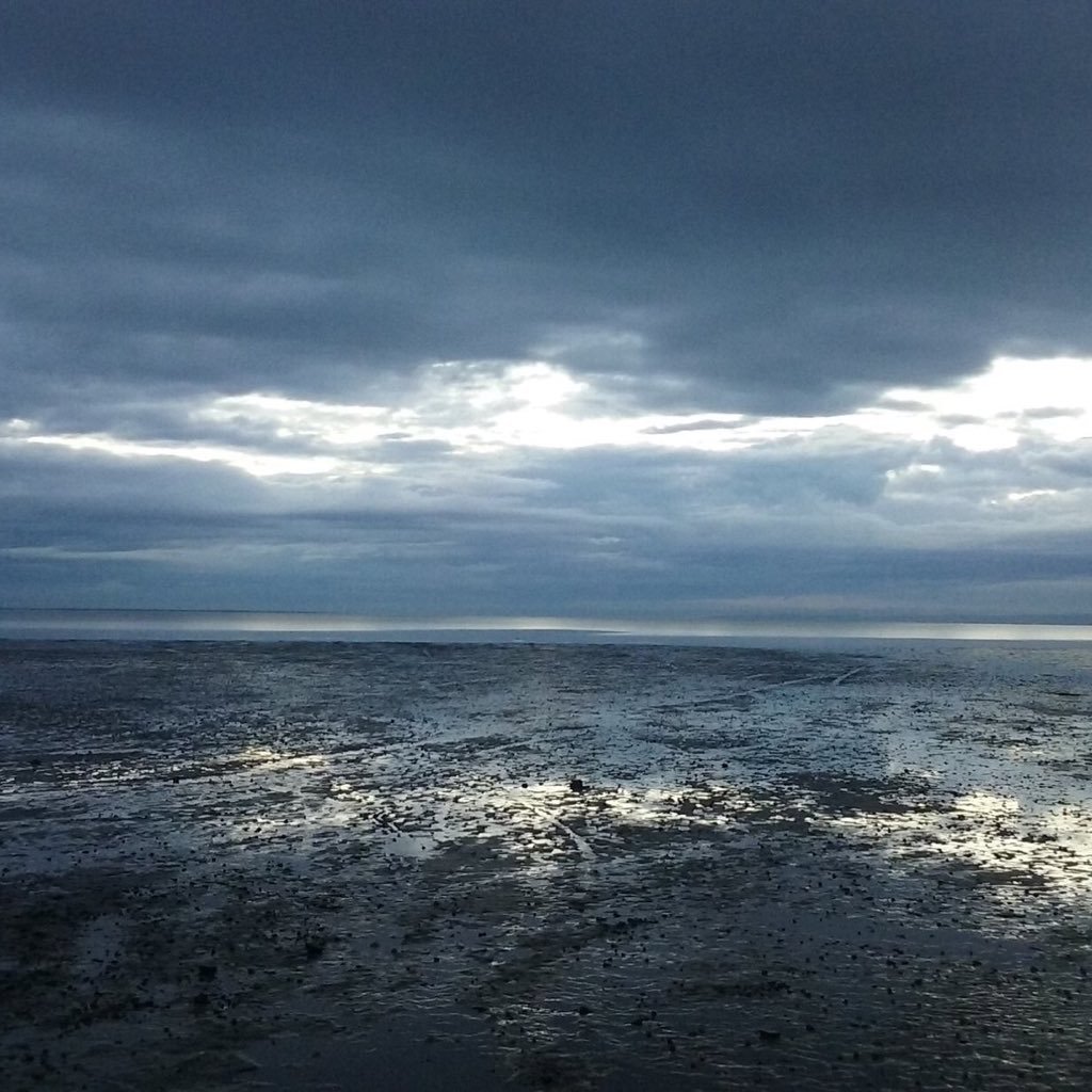 l_oshiro's profile picture. 