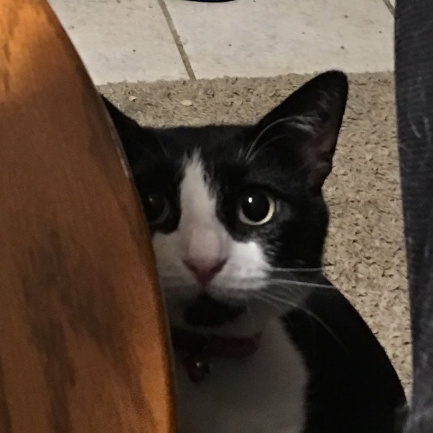 matrixghost1286's profile picture. A kwyjibo.