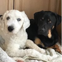 Sherry Christian (@austin13_sherry) 's Twitter Profile