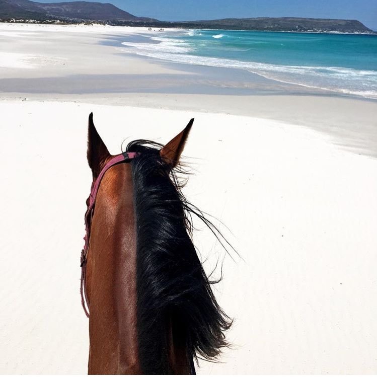 ASMATURKI2's profile picture. ﴿ توفَّني مُسلِمًا وألحِقْني بِالصَّالحِين ﴾