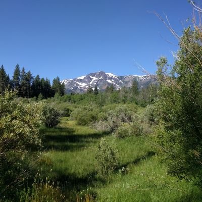 SeanWhiteA's profile picture. GIS, Geopolitics, Data, Tech