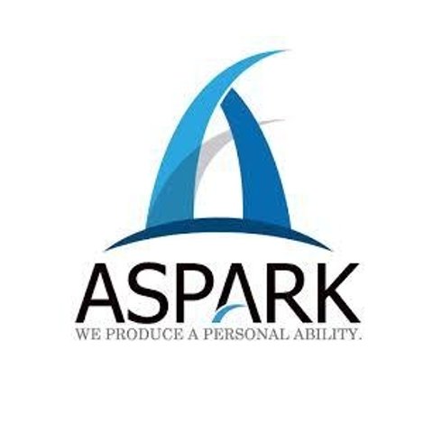 aspark_official Profile Picture